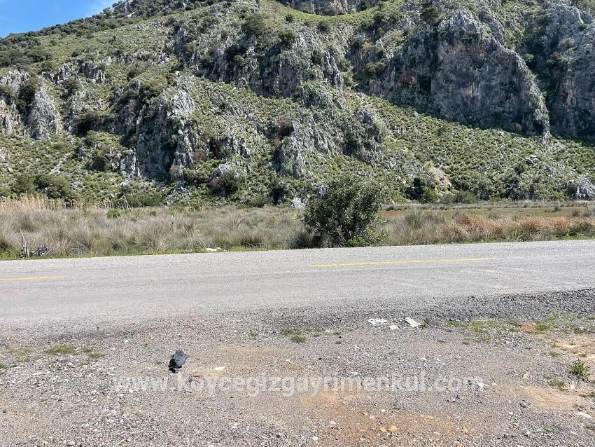 Feld Zu Verkaufen in Dalyan Bz. Ortaca - Gehäuse-Zonierung - 19.600 m²