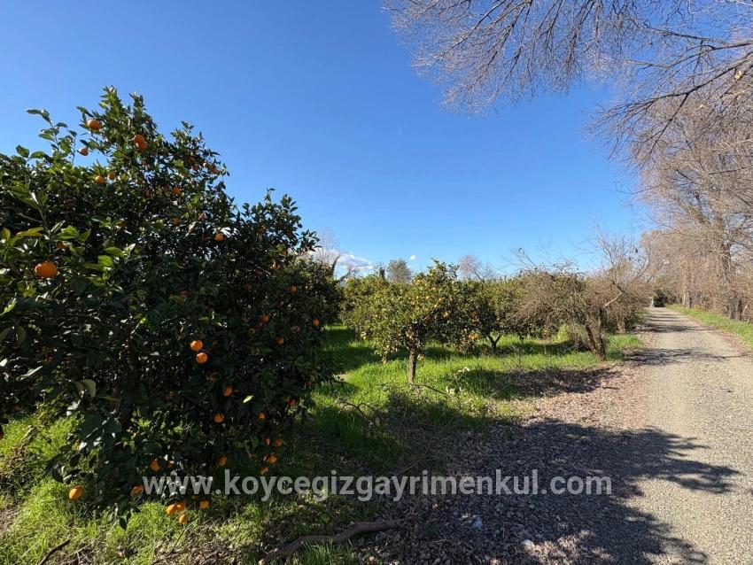 Land Zu Verkaufen in Okçular Bz. Ortaca - Gehäuse-Zonierung - 4.326 m²