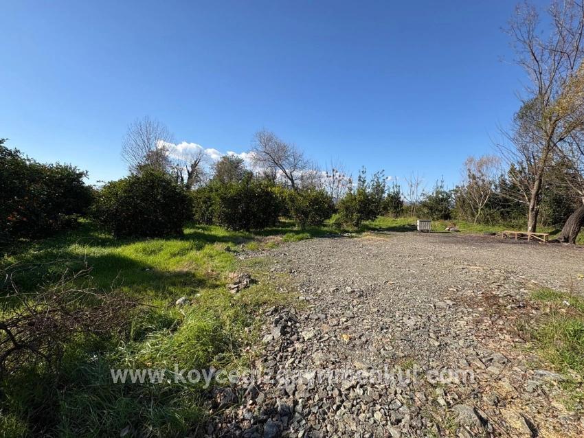 Land Zu Verkaufen in Okçular Bz. Ortaca - Gehäuse-Zonierung - 4.326 m²