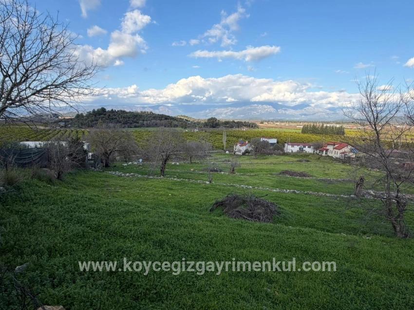 Feld Zu Verkaufen in Dalyan Bz. Ortaca - Feld-Zonierung - 11.230 m²