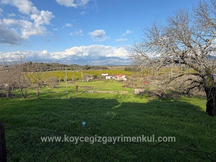 Feld Zu Verkaufen in Dalyan Bz. Ortaca - Feld-Zonierung - 11.230 m²
