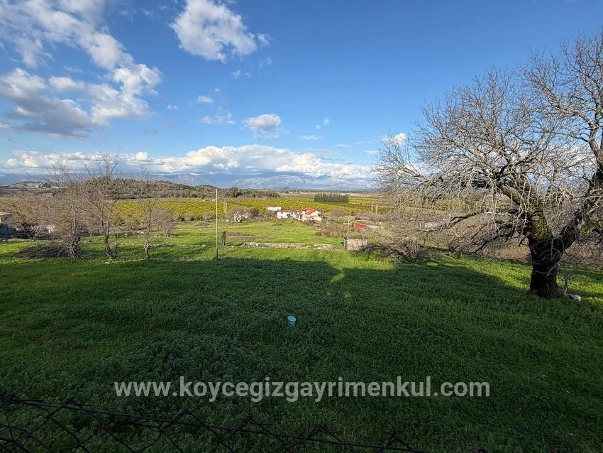 Feld Zu Verkaufen in Dalyan Bz. Ortaca - Feld-Zonierung - 11.230 m²