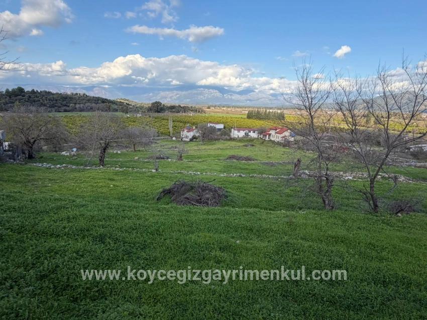 Feld Zu Verkaufen in Dalyan Bz. Ortaca - Feld-Zonierung - 11.230 m²