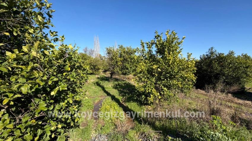Land Zu Verkaufen in Okçular Bz. Ortaca - Gehäuse-Zonierung - 2.218 m²