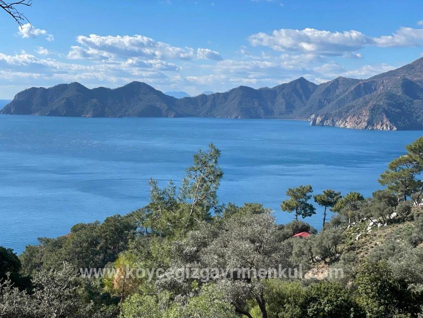 Feld Zu Verkaufen in Çandır Bz. Köyceğiz - Feld-Zonierung - 20.000 m²