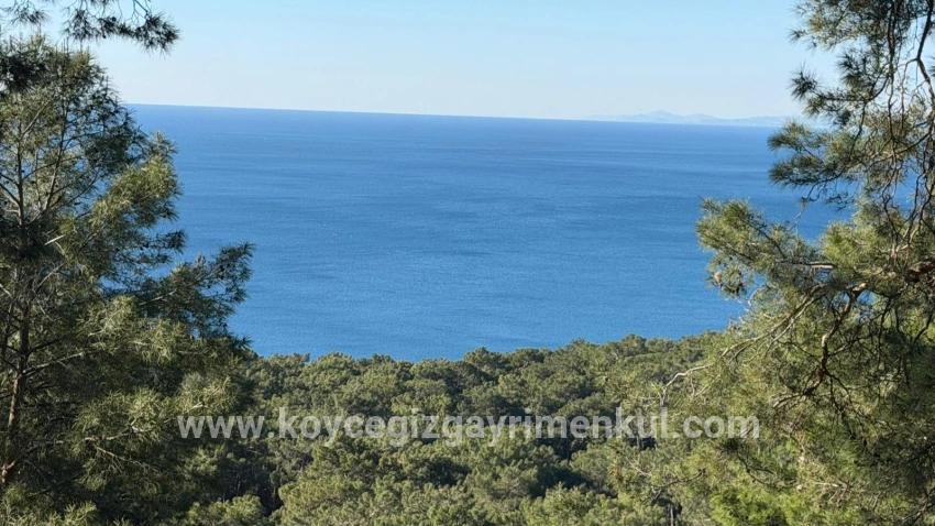 Feld Zu Verkaufen in Çandır Bz. Köyceğiz - Gehäuse-Zonierung - 5.715 m²