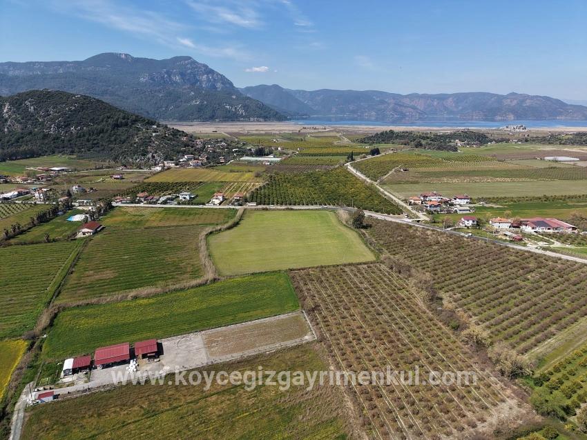 Weinberg & Garten Zu Verkaufen in Dalyan Bz. Ortaca - Weinberg & Garten-Zonierung - 17.550 m²