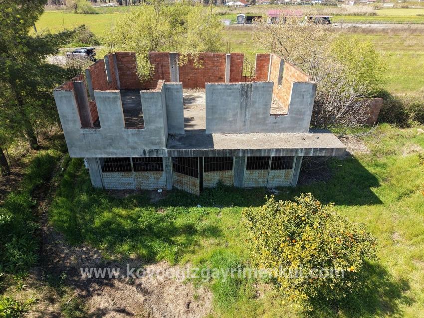 Weinberg & Garten Zu Verkaufen in Dalyan Bz. Ortaca - Weinberg & Garten-Zonierung - 17.550 m²