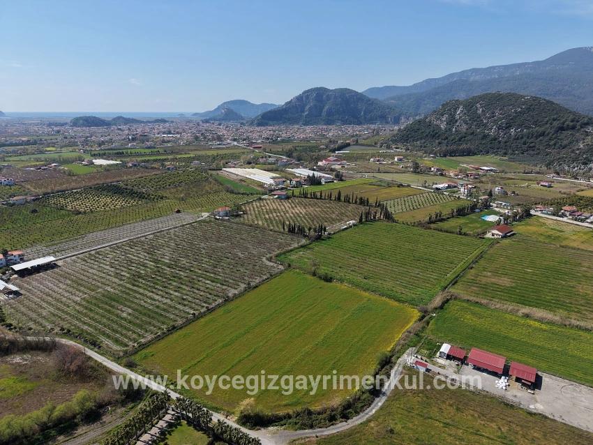 Weinberg & Garten Zu Verkaufen in Dalyan Bz. Ortaca - Weinberg & Garten-Zonierung - 17.550 m²