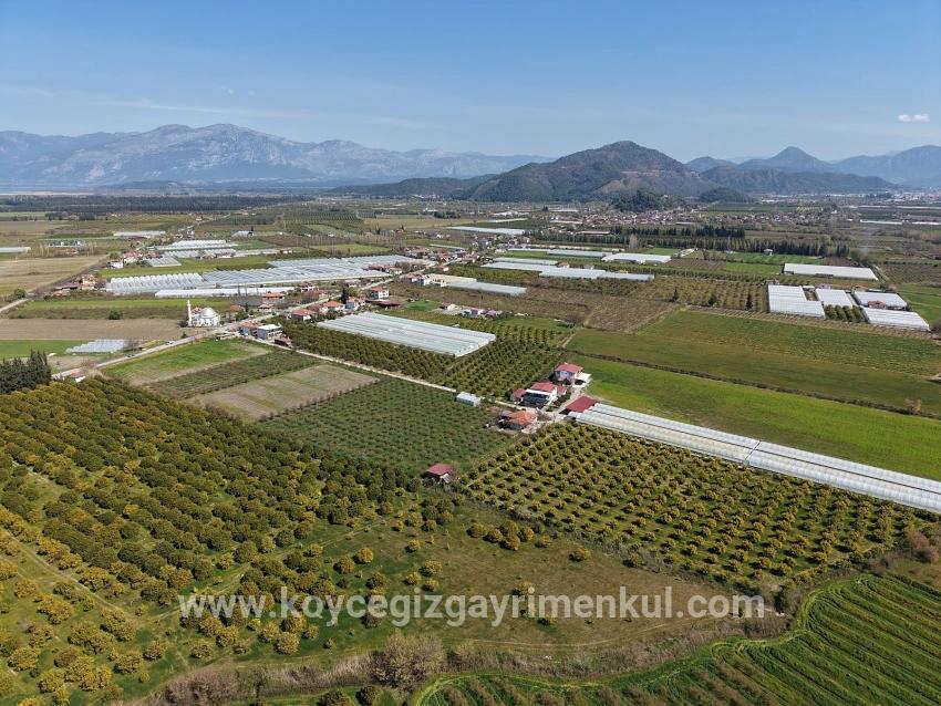 Weinberg & Garten Zu Verkaufen in Dalyan Bz. Ortaca - Weinberg & Garten-Zonierung - 17.550 m²