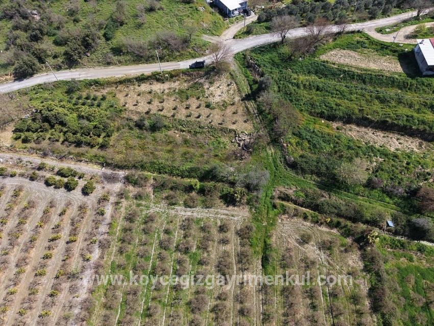Feld Zu Verkaufen in Eskiköy Bz. Ortaca - Feld-Zonierung - 16.710 m²