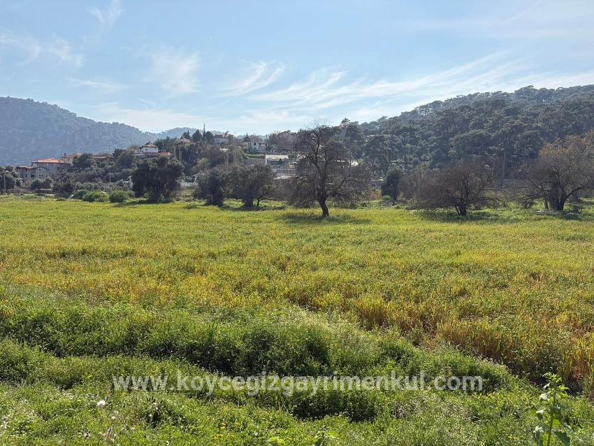 Feld Zu Verkaufen in Çandır Bz. Köyceğiz - Gehäuse-Zonierung - 2.023 m²
