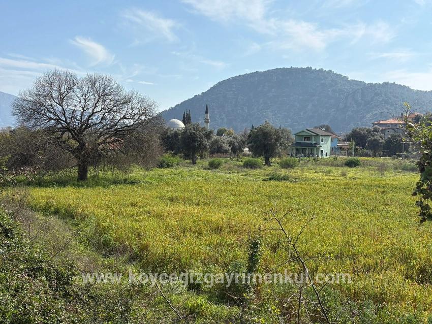 Feld Zu Verkaufen in Çandır Bz. Köyceğiz - Gehäuse-Zonierung - 2.023 m²