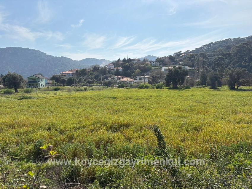 Feld Zu Verkaufen in Çandır Bz. Köyceğiz - Gehäuse-Zonierung - 2.023 m²