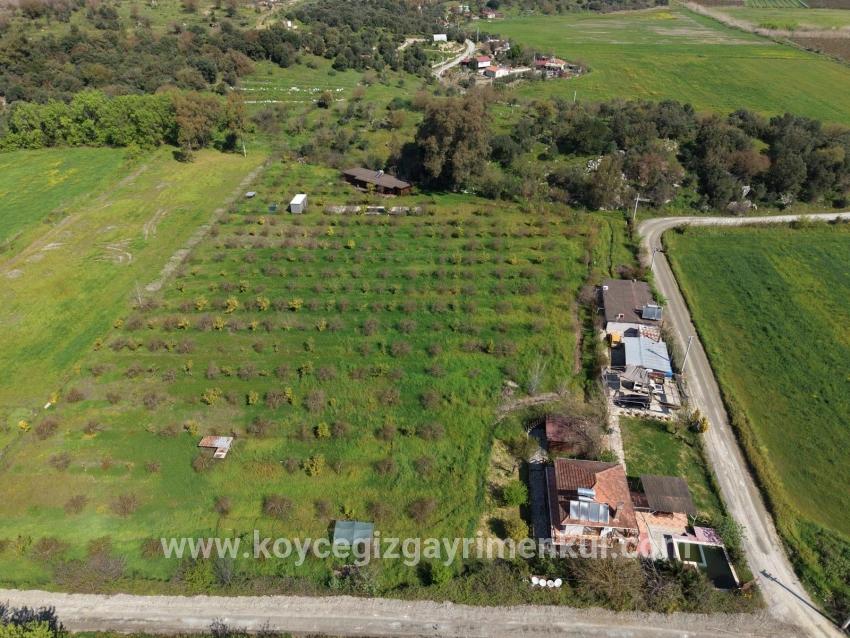 Herberge Zu Verkaufen in Eskiköy Bz. Ortaca - 11.000 m²