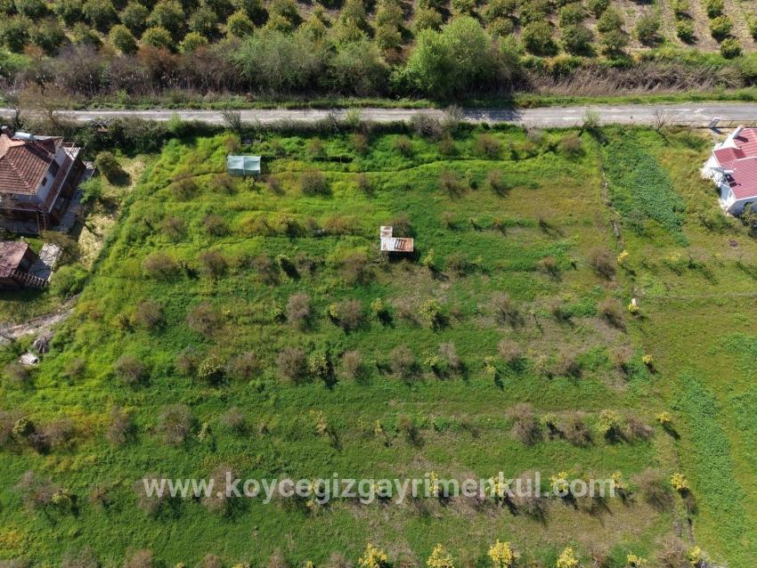 Herberge Zu Verkaufen in Eskiköy Bz. Ortaca - 11.000 m²