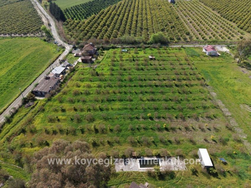 Herberge Zu Verkaufen in Eskiköy Bz. Ortaca - 11.000 m²