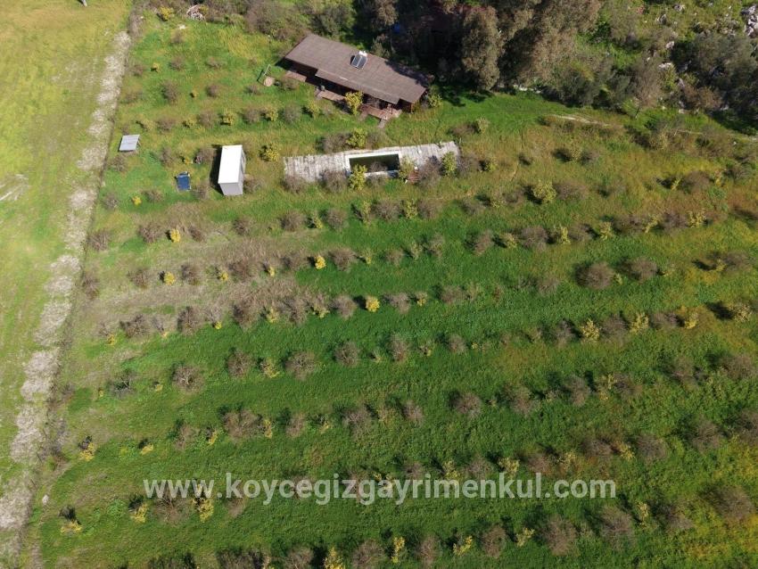 Herberge Zu Verkaufen in Eskiköy Bz. Ortaca - 11.000 m²