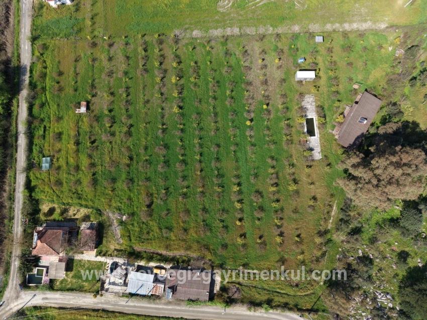 Herberge Zu Verkaufen in Eskiköy Bz. Ortaca - 11.000 m²