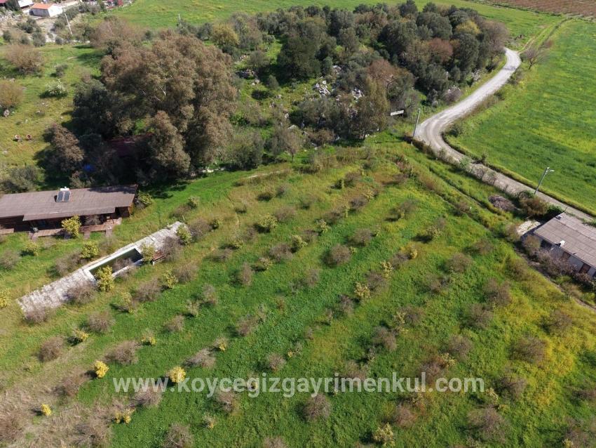 Herberge Zu Verkaufen in Eskiköy Bz. Ortaca - 11.000 m²