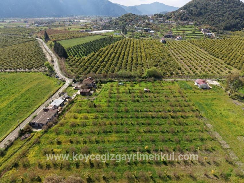 Herberge Zu Verkaufen in Eskiköy Bz. Ortaca - 11.000 m²