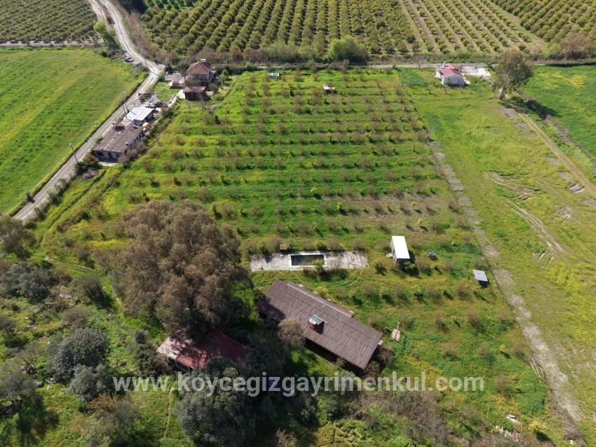 Herberge Zu Verkaufen in Eskiköy Bz. Ortaca - 11.000 m²