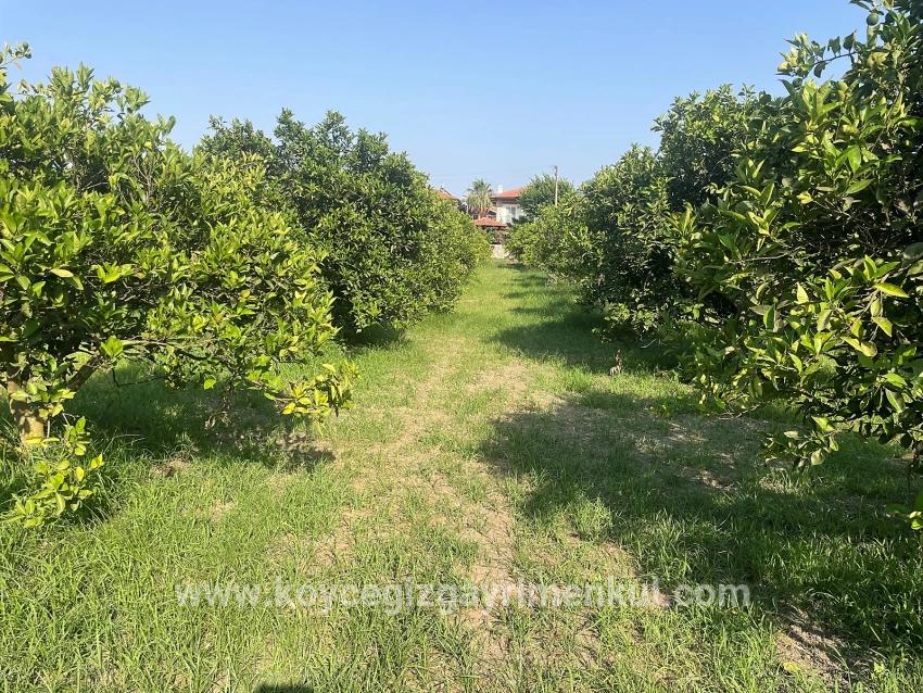 Land Zu Verkaufen in Dalyan Bz. Ortaca - Gehäuse-Zonierung - 722 m²