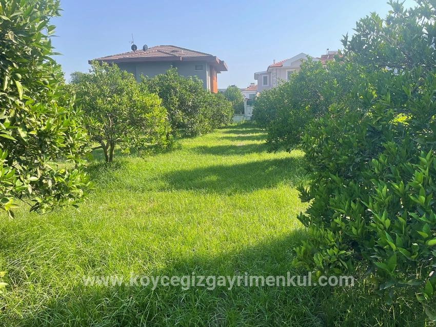 Land Zu Verkaufen in Dalyan Bz. Ortaca - Gehäuse-Zonierung - 722 m²