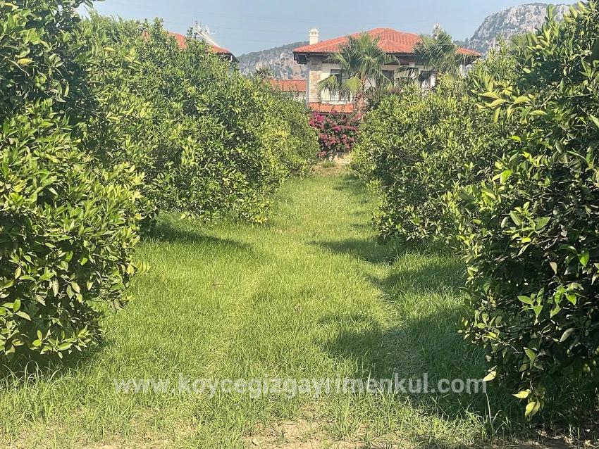 Land Zu Verkaufen in Dalyan Bz. Ortaca - Gehäuse-Zonierung - 722 m²