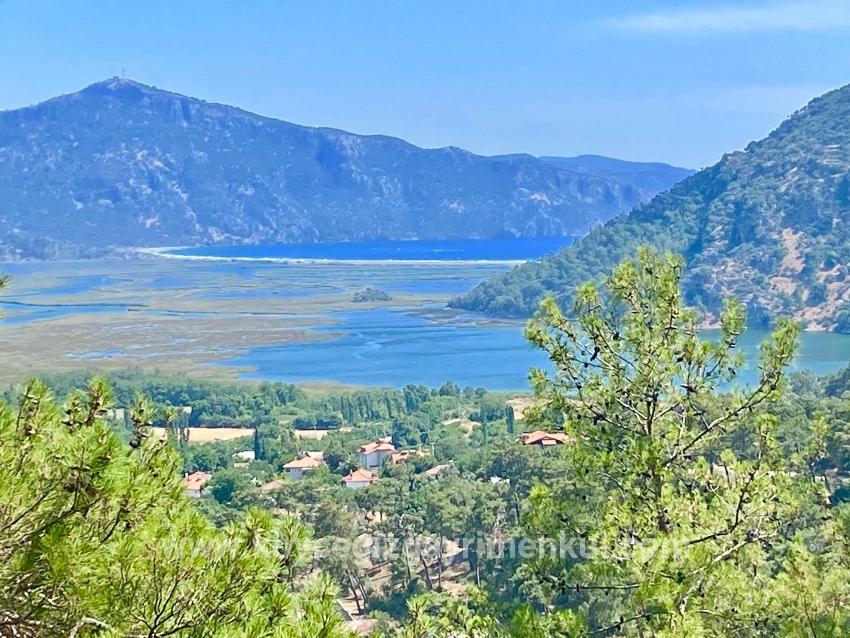 Feld Zu Verkaufen in Çandır Bz. Köyceğiz - Feld-Zonierung - 1.252 m²