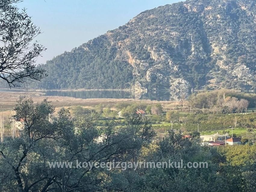 Feld Zu Verkaufen in Çandır Bz. Köyceğiz - Feld-Zonierung - 1.252 m²