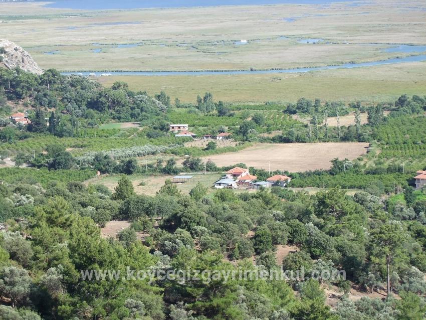 Feld Zu Verkaufen in Çandır Bz. Köyceğiz - Feld-Zonierung - 1.252 m²