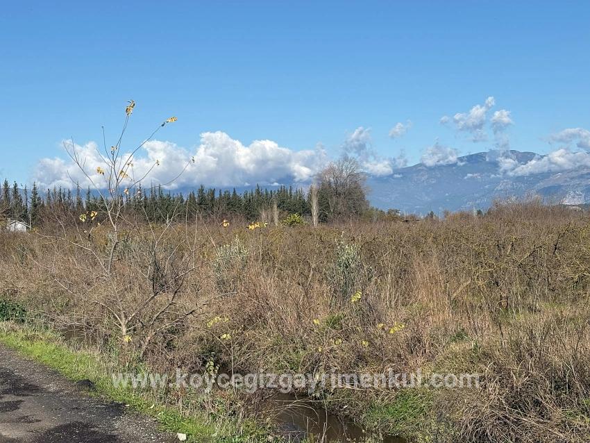 Feld Zu Verkaufen in Tepearası Bz. Ortaca - Weinberg & Garten-Zonierung - 23.000 m²