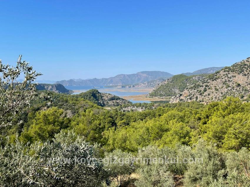 Land Zu Verkaufen in Gökbel Bz. Ortaca - Gehäuse-Zonierung - 3.514 m²