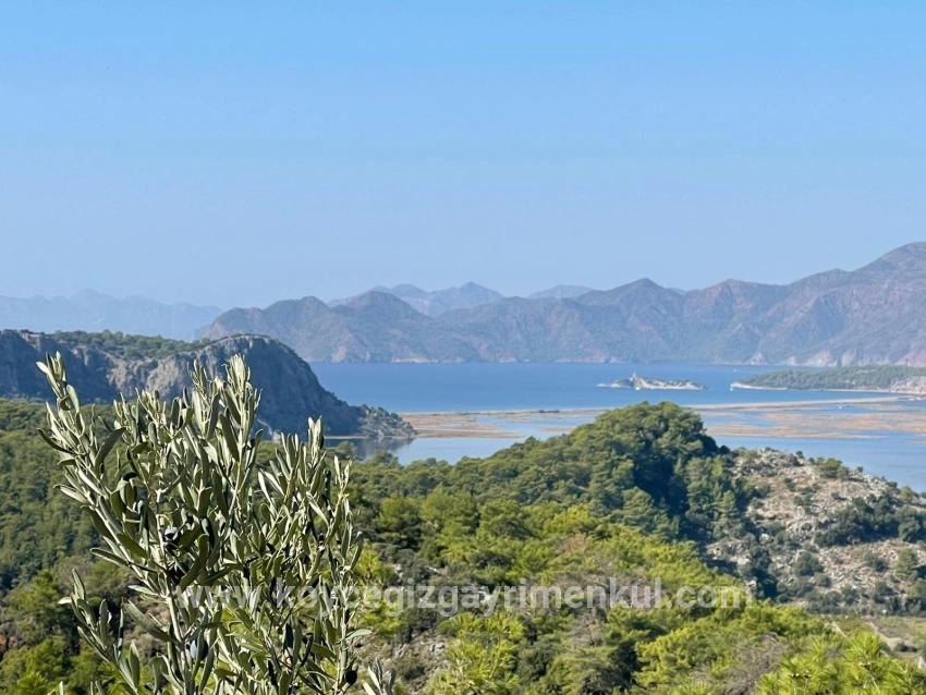 Land Zu Verkaufen in Gökbel Bz. Ortaca - Gehäuse-Zonierung - 3.514 m²