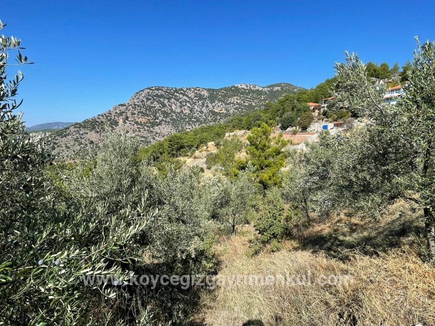 Land Zu Verkaufen in Gökbel Bz. Ortaca - Gehäuse-Zonierung - 3.514 m²