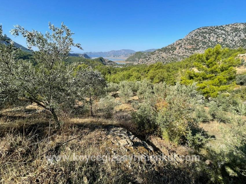 Land Zu Verkaufen in Gökbel Bz. Ortaca - Gehäuse-Zonierung - 3.514 m²