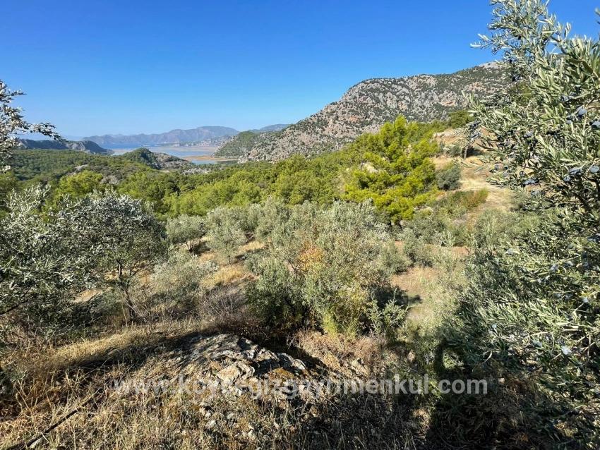 Land Zu Verkaufen in Gökbel Bz. Ortaca - Gehäuse-Zonierung - 3.514 m²