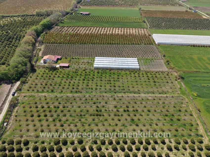 Feld Zu Verkaufen in Eskiköy Bz. Ortaca - Feld-Zonierung - 16.000 m²
