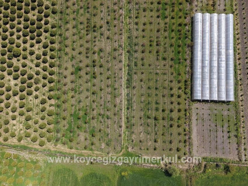 Feld Zu Verkaufen in Eskiköy Bz. Ortaca - Feld-Zonierung - 16.000 m²