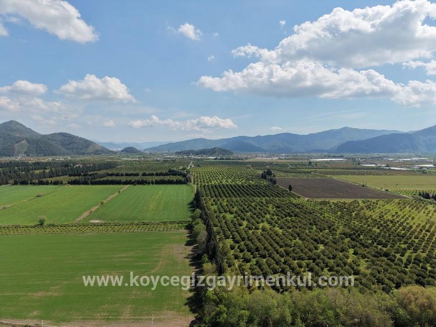 Feld Zu Verkaufen in Eskiköy Bz. Ortaca - Feld-Zonierung - 16.000 m²