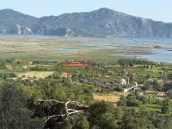 Feld Zu Verkaufen in Çandır Bz. Köyceğiz - Feld-Zonierung - 1.252 m²