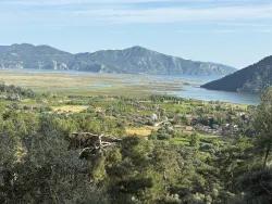 Feld Zu Verkaufen in Çandır Bz. Köyceğiz - Feld-Zonierung - 1.252 m²
