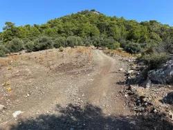 Feld Zu Verkaufen in Çandır Bz. Köyceğiz - Feld-Zonierung - 21.000 m²