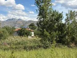 Feld Zu Verkaufen in Zeytinalanı Bz. Köyceğiz - Feld-Zonierung - 10.500 m²