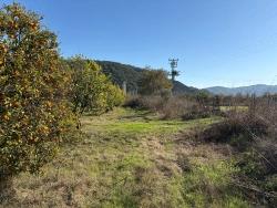 Feld Zu Verkaufen in Tepearası Bz. Ortaca - Weinberg & Garten-Zonierung - 23.000 m²