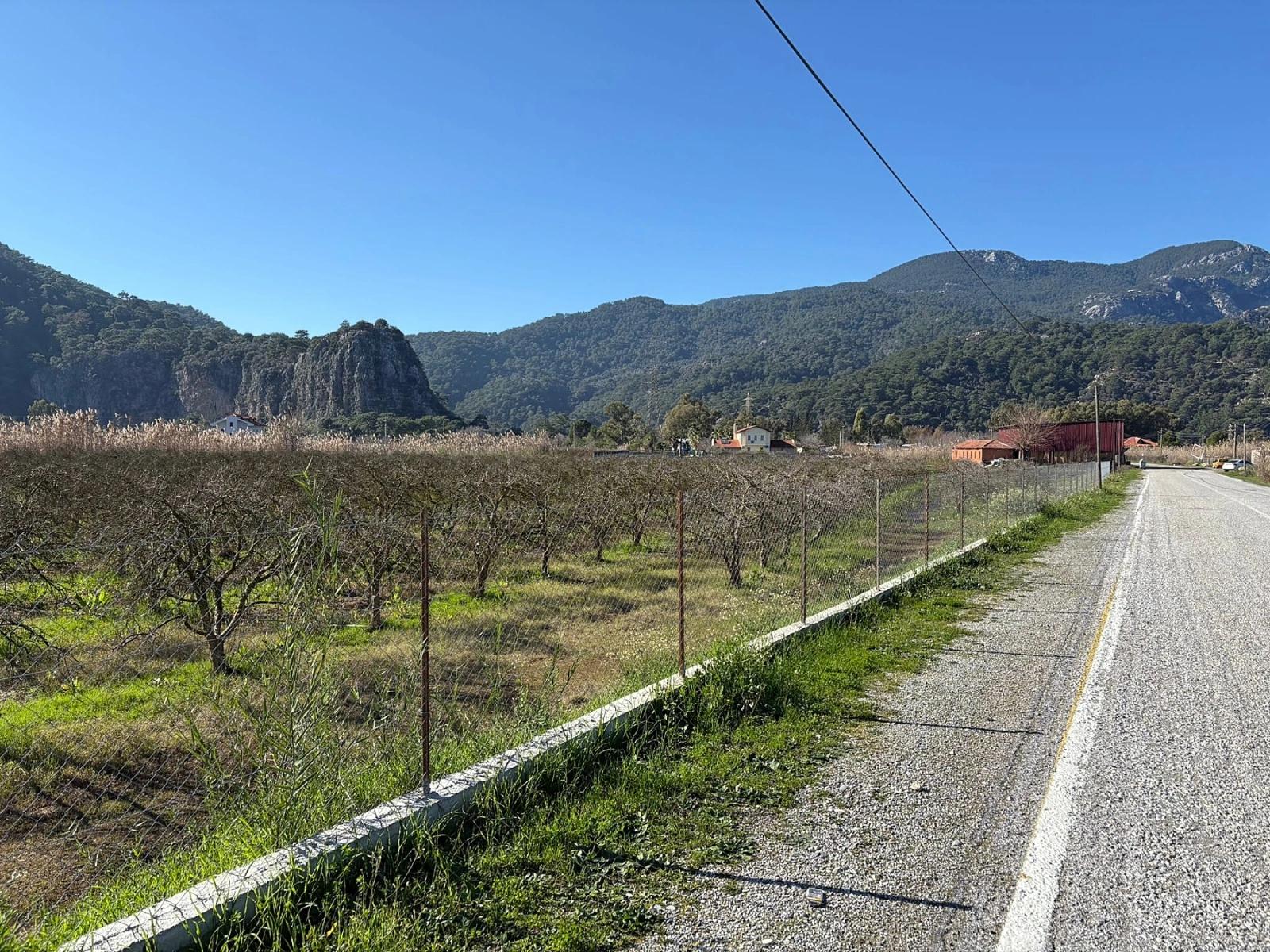 5985m2 Plot Of Land For Sale In Dalyan, Zoned For 5% Vineyard/orchard Use.