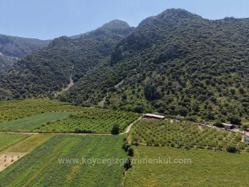 5100M2 Plot Of Land For Sale Near Dalyan Town Center.