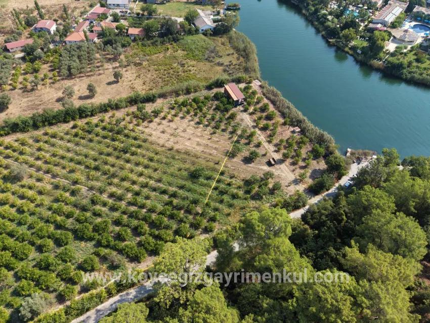 Field For Sale in Çandır Nbh. Köyceğiz - Field Zoned - 20.000 m²