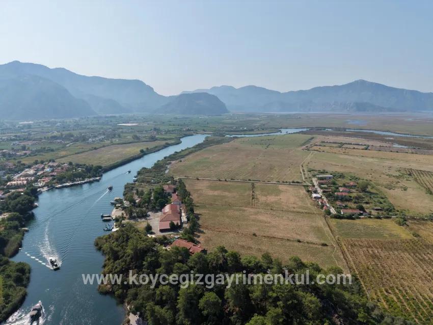 Field For Sale in Çandır Nbh. Köyceğiz - Field Zoned - 20.000 m²